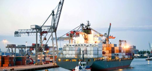 Management-Export-Import-Customs-Shipping-Port-Activities